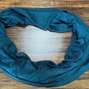 Shimmery Teal Scarf by Express